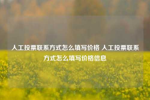 人工投票联系方式怎么填写价格 人工投票联系方式怎么填写价格信息