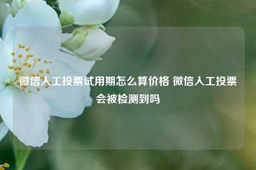 微信人工投票试用期怎么算价格 微信人工投票会被检测到吗