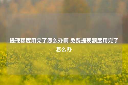 提现额度用完了怎么办啊 免费提现额度用完了怎么办