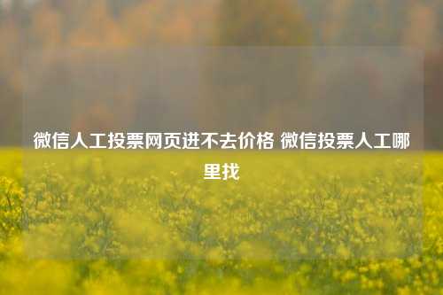 微信人工投票网页进不去价格 微信投票人工哪里找