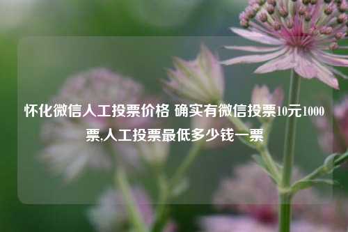 怀化微信人工投票价格 确实有微信投票10元1000票,人工投票最低多少钱一票