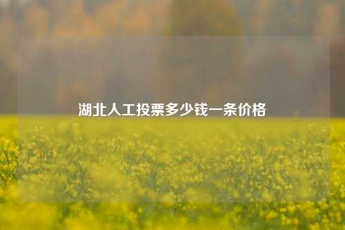 湖北人工投票多少钱一条价格