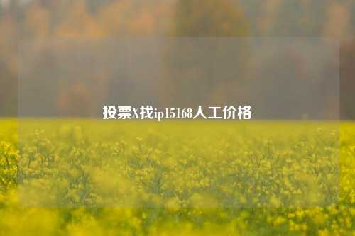 投票X找ip15168人工价格