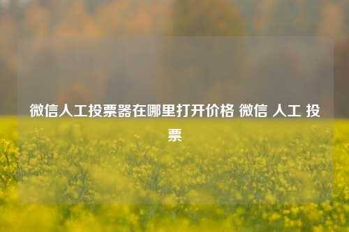 微信人工投票器在哪里打开价格 微信 人工 投票