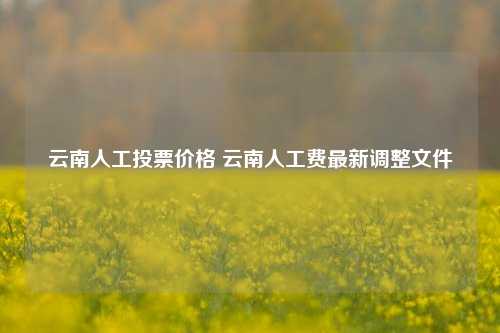 云南人工投票价格 云南人工费最新调整文件