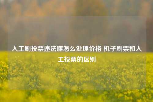 人工刷投票违法嘛怎么处理价格 机子刷票和人工投票的区别