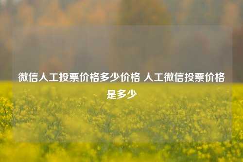 微信人工投票价格多少价格 人工微信投票价格是多少