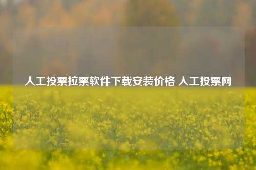 人工投票拉票软件下载安装价格 人工投票网