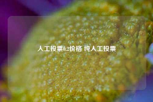 人工投票0.2价格 纯人工投票