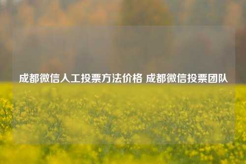 成都微信人工投票方法价格 成都微信投票团队