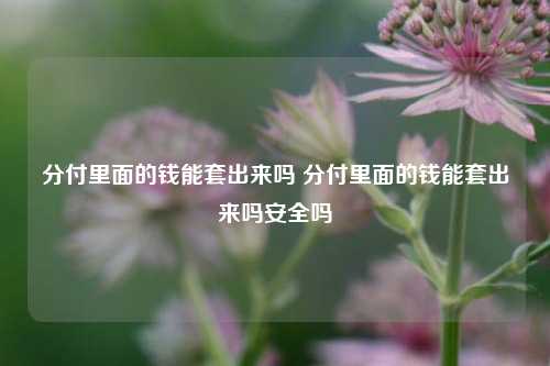 分付里面的钱能套出来吗 分付里面的钱能套出来吗安全吗