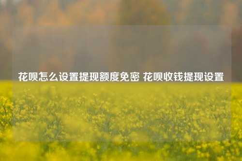 花呗怎么设置提现额度免密 花呗收钱提现设置