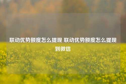 联动优势额度怎么提现 联动优势额度怎么提现到微信