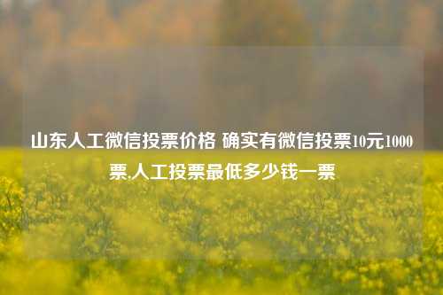 山东人工微信投票价格 确实有微信投票10元1000票,人工投票最低多少钱一票