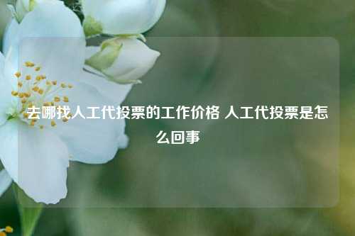 去哪找人工代投票的工作价格 人工代投票是怎么回事