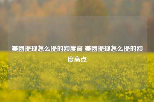 美团提现怎么提的额度高 美团提现怎么提的额度高点