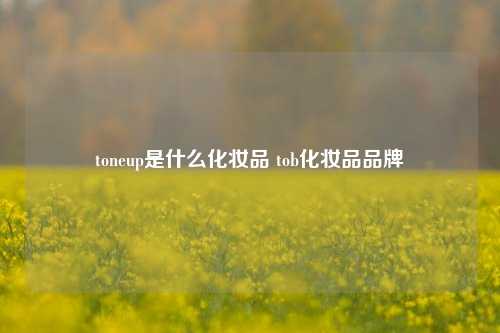 toneup是什么化妆品 tob化妆品品牌