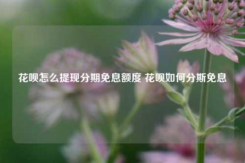 花呗怎么提现分期免息额度 花呗如何分斯免息