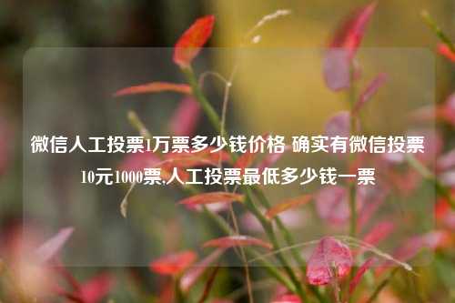 微信人工投票1万票多少钱价格 确实有微信投票10元1000票,人工投票最低多少钱一票