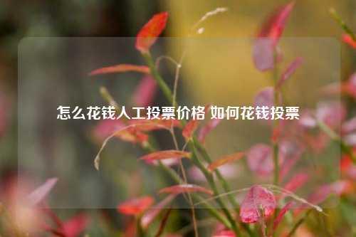 怎么花钱人工投票价格 如何花钱投票