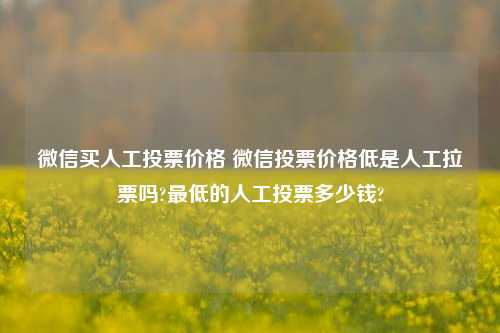 微信买人工投票价格 微信投票价格低是人工拉票吗?最低的人工投票多少钱?