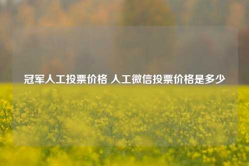 冠军人工投票价格 人工微信投票价格是多少