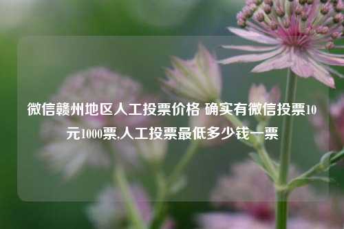 微信赣州地区人工投票价格 确实有微信投票10元1000票,人工投票最低多少钱一票