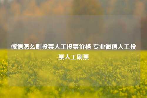 微信怎么刷投票人工投票价格 专业微信人工投票人工刷票