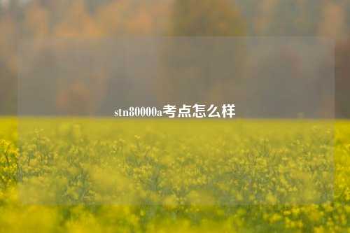 stn80000a考点怎么样