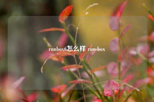 runbox6怎么样 run box