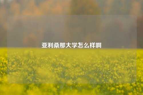 亚利桑那大学怎么样啊