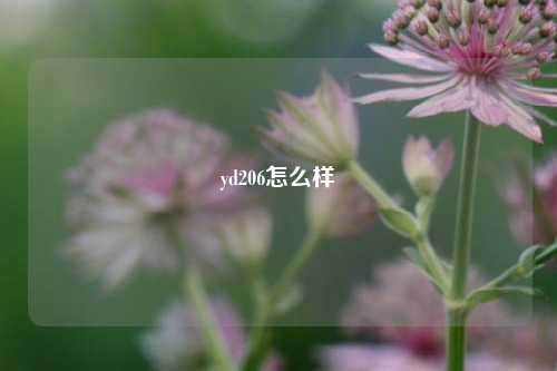 yd206怎么样