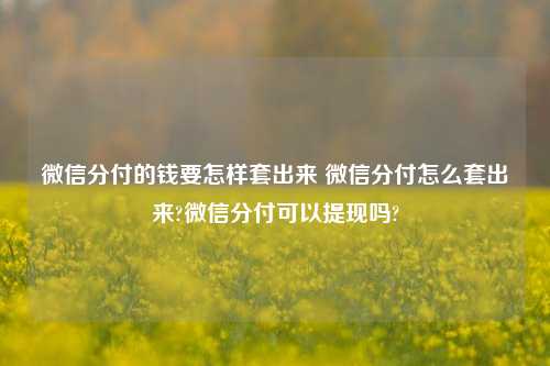 微信分付的钱要怎样套出来 微信分付怎么套出来?微信分付可以提现吗?