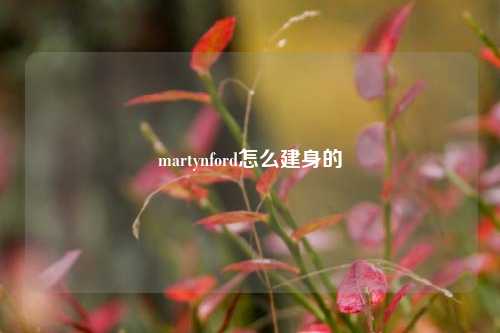 martynford怎么建身的