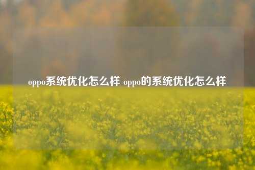 oppo系统优化怎么样 oppo的系统优化怎么样