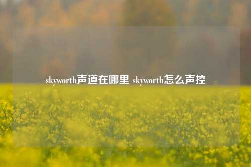 skyworth声道在哪里 skyworth怎么声控