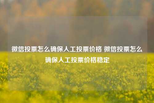 微信投票怎么确保人工投票价格 微信投票怎么确保人工投票价格稳定