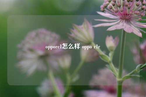 opporc1怎么样 oppo r1r