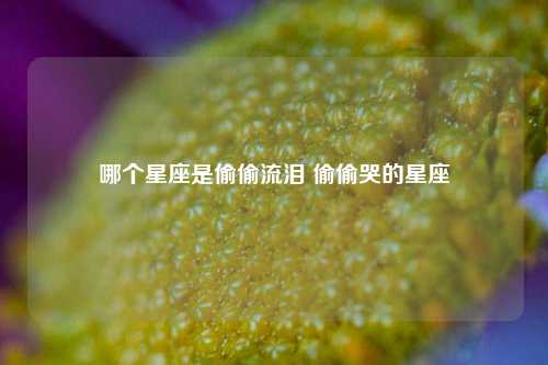 哪个星座是偷偷流泪 偷偷哭的星座