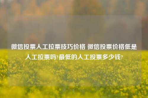 微信投票人工拉票技巧价格 微信投票价格低是人工拉票吗?最低的人工投票多少钱?