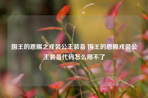 国王的恩赐之戎装公主装备 国王的恩赐戎装公主装备代码怎么用不了