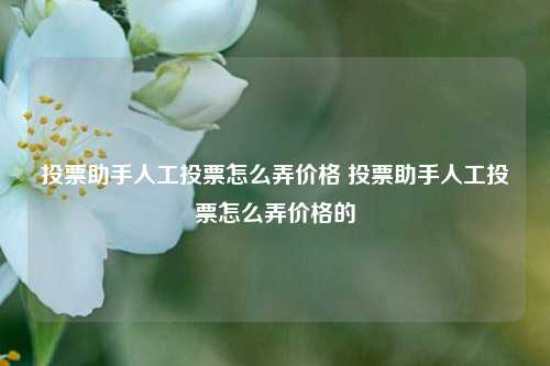 投票助手人工投票怎么弄价格 投票助手人工投票怎么弄价格的