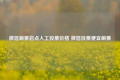 微信刷票启点人工投票价格 微信投票便宜刷票