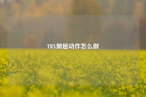 TRX侧屈动作怎么做