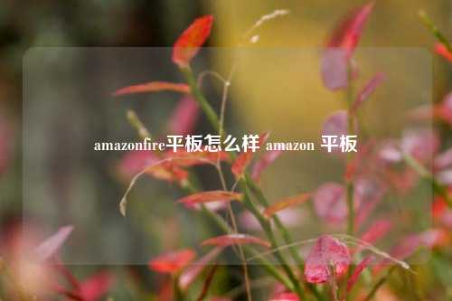 amazonfire平板怎么样 amazon 平板