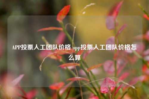 APP投票人工团队价格 app投票人工团队价格怎么算