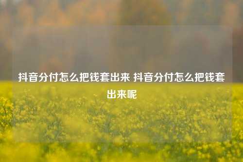 抖音分付怎么把钱套出来 抖音分付怎么把钱套出来呢