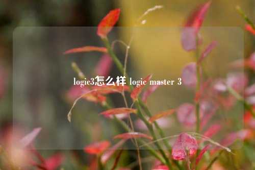 logic3怎么样 logic master 3