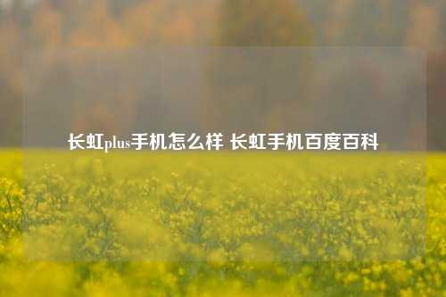 长虹plus手机怎么样 长虹手机百度百科