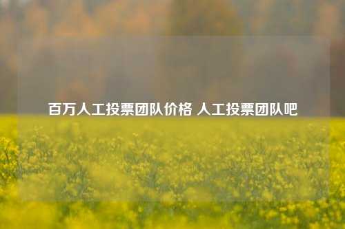 百万人工投票团队价格 人工投票团队吧